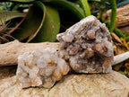Natural Golden Limonite Coated Spirit Quartz Clusters x 4 From Boekenhouthoek, South Africa - Toprock Gemstones and Minerals 