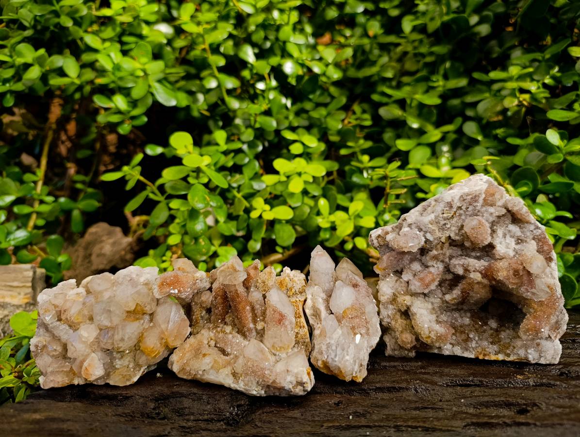 Natural Golden Limonite Coated Spirit Quartz Clusters x 4 From Boekenhouthoek, South Africa - Toprock Gemstones and Minerals 