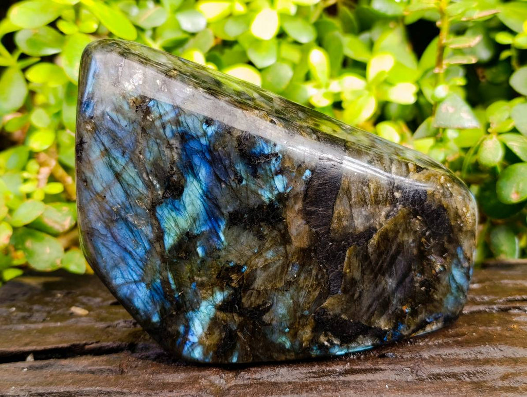 Polished Labradorite Standing Free Form x 1 From Tulear, Madagascar - Toprock Gemstones and Minerals 