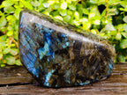 Polished Labradorite Standing Free Form x 1 From Tulear, Madagascar - Toprock Gemstones and Minerals 