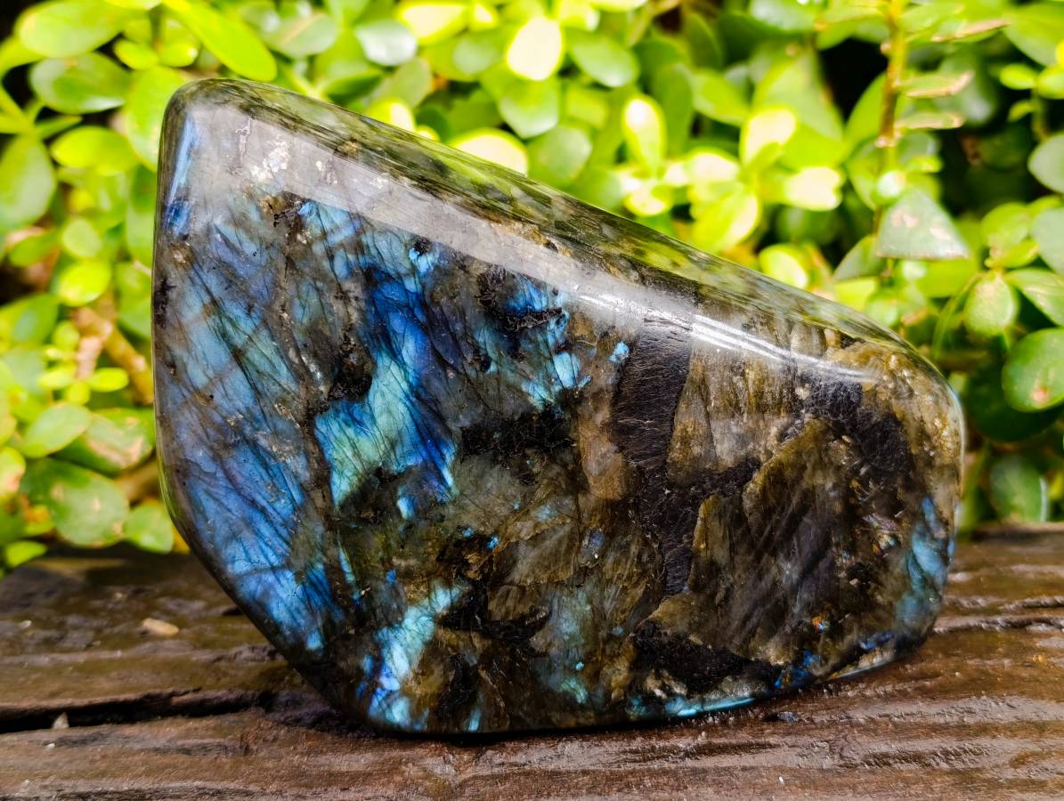 Polished Labradorite Standing Free Form x 1 From Tulear, Madagascar - Toprock Gemstones and Minerals 