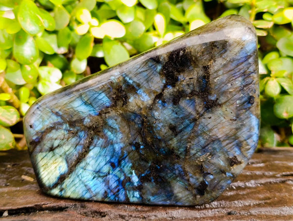 Polished Labradorite Standing Free Form x 1 From Tulear, Madagascar