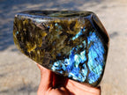 Polished Labradorite Standing Free Form x 1 From Tulear, Madagascar - Toprock Gemstones and Minerals 