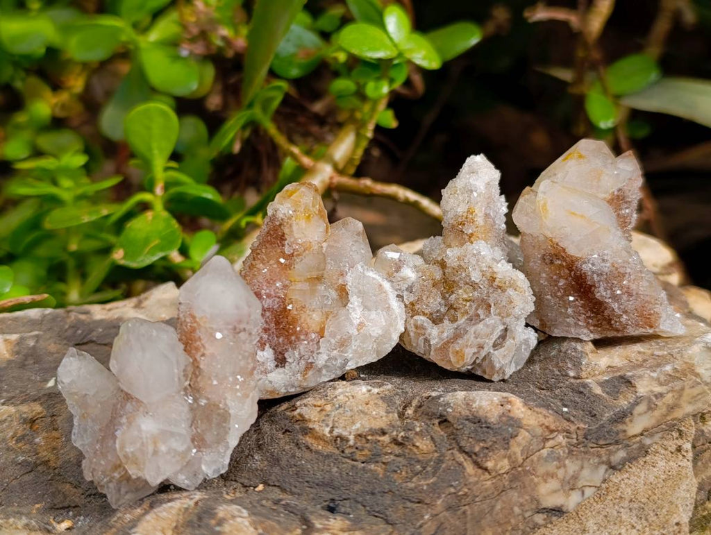 Natural Golden Limonite Coated Spirit Quartz Crystals x 35 From Boekenhouthoek, South Africa - Toprock Gemstones and Minerals 