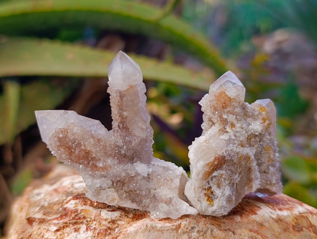 Natural Golden Limonite Coated Spirit Quartz Crystals x 35 From Boekenhouthoek, South Africa - Toprock Gemstones and Minerals 