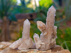 Natural Golden Limonite Coated Spirit Quartz Crystals x 35 From Boekenhouthoek, South Africa - Toprock Gemstones and Minerals 