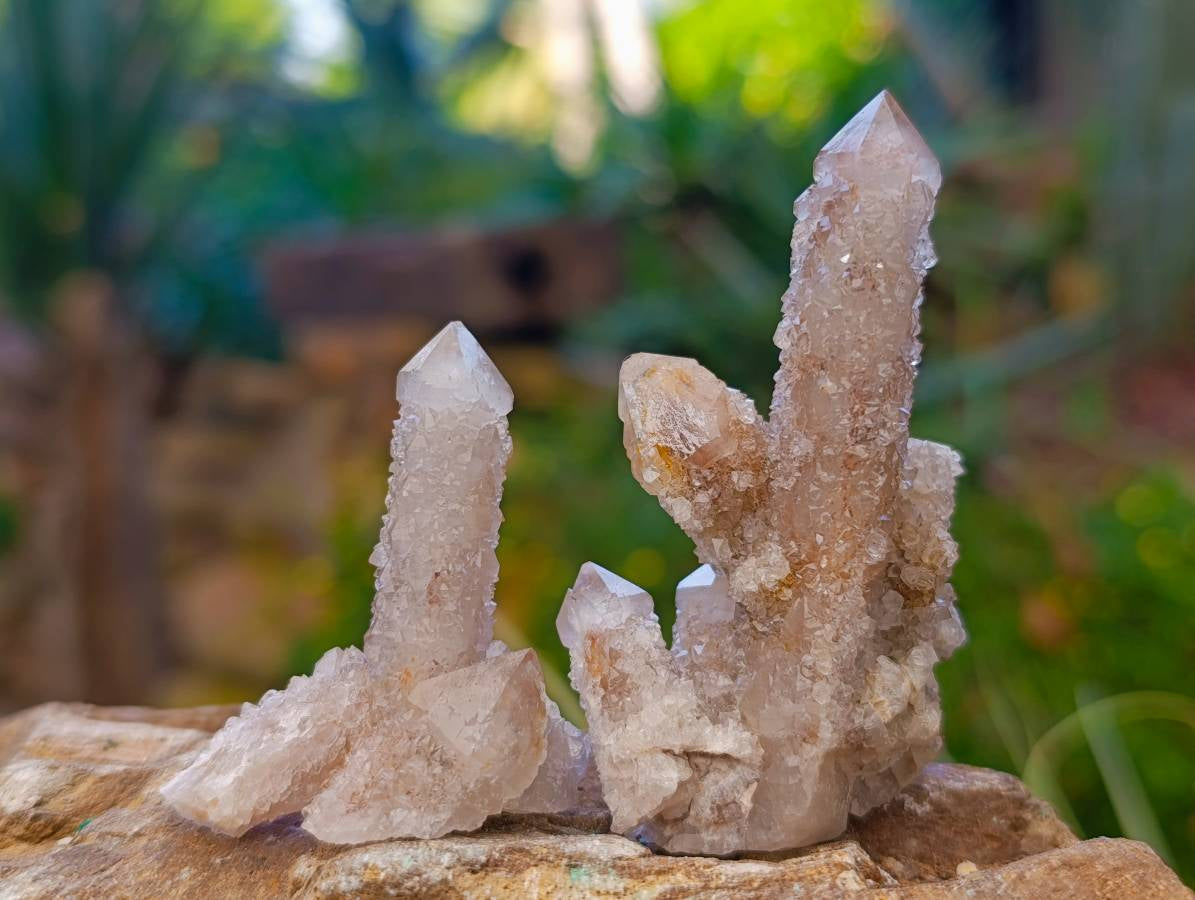 Natural Golden Limonite Coated Spirit Quartz Crystals x 35 From Boekenhouthoek, South Africa - Toprock Gemstones and Minerals 
