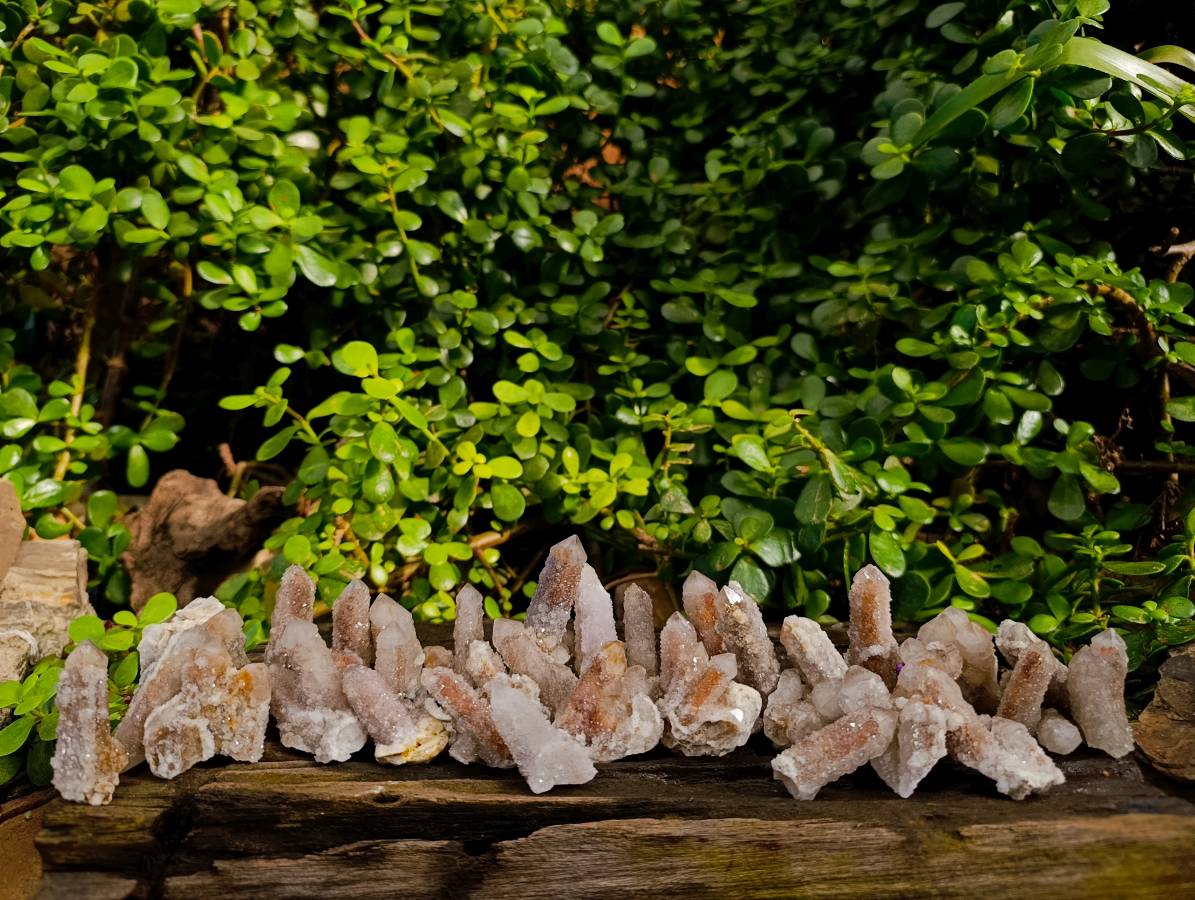 Natural Golden Limonite Coated Spirit Quartz Crystals x 35 From Boekenhouthoek, South Africa - Toprock Gemstones and Minerals 