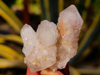 Natural Golden Limonite Coated Spirit Quartz Crystals x 35 From Boekenhouthoek, South Africa - Toprock Gemstones and Minerals 