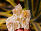 Natural Golden Limonite Coated Spirit Quartz Crystals x 35 From Boekenhouthoek, South Africa - Toprock Gemstones and Minerals 