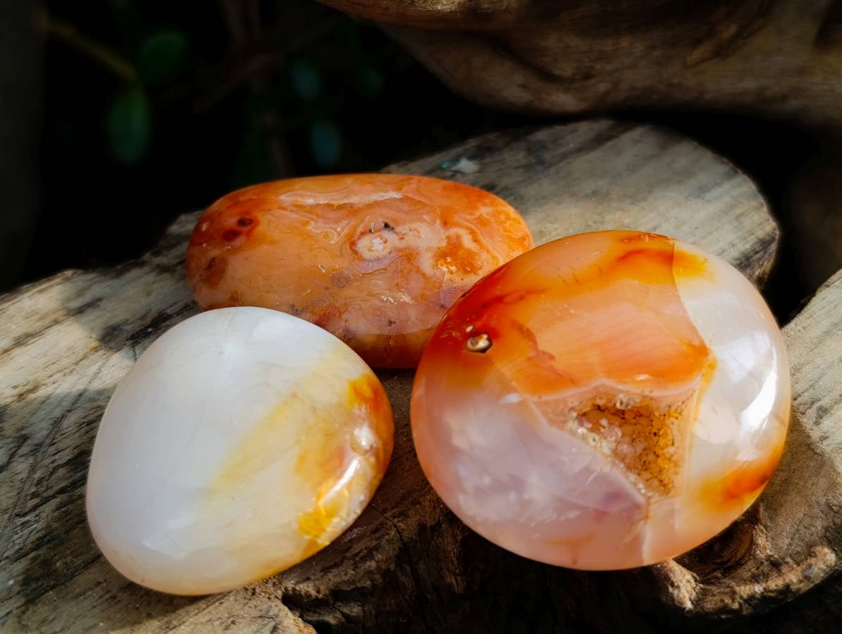 Polished Carnelian Agate Palm Stones x 28 From Madagascar - Toprock Gemstones and Minerals 