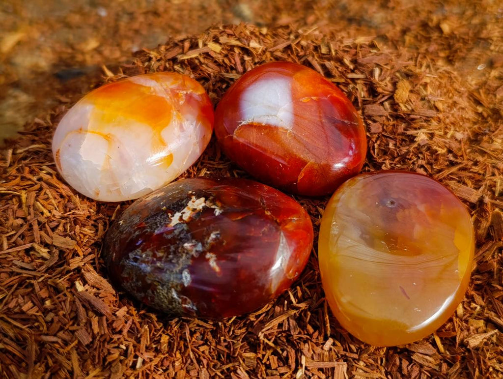 Polished Carnelian Agate Palm Stones x 28 From Madagascar - Toprock Gemstones and Minerals 