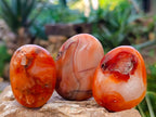 Polished Carnelian Agate Palm Stones x 28 From Madagascar - Toprock Gemstones and Minerals 