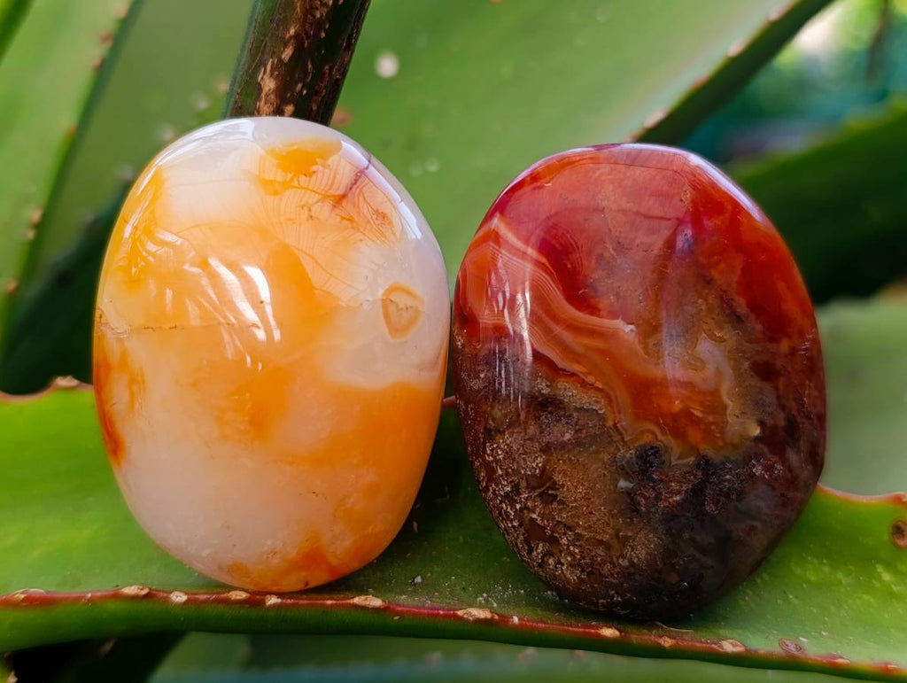 Polished Carnelian Agate Palm Stones x 28 From Madagascar - Toprock Gemstones and Minerals 