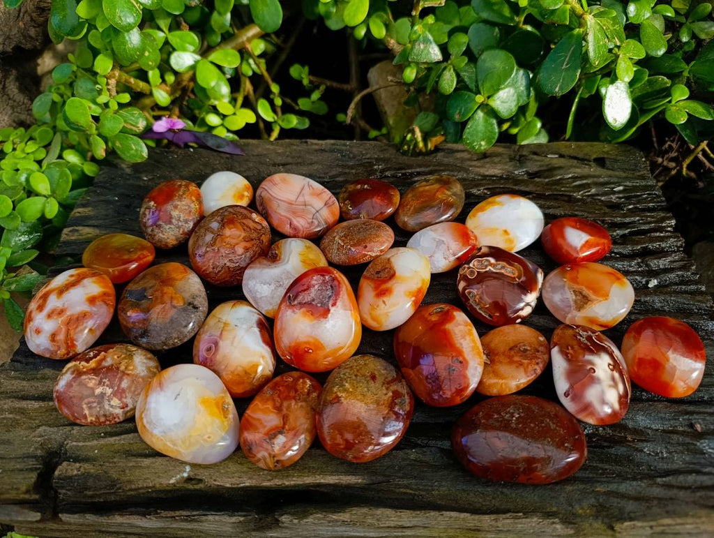Polished Carnelian Agate Palm Stones x 28 From Madagascar - Toprock Gemstones and Minerals 