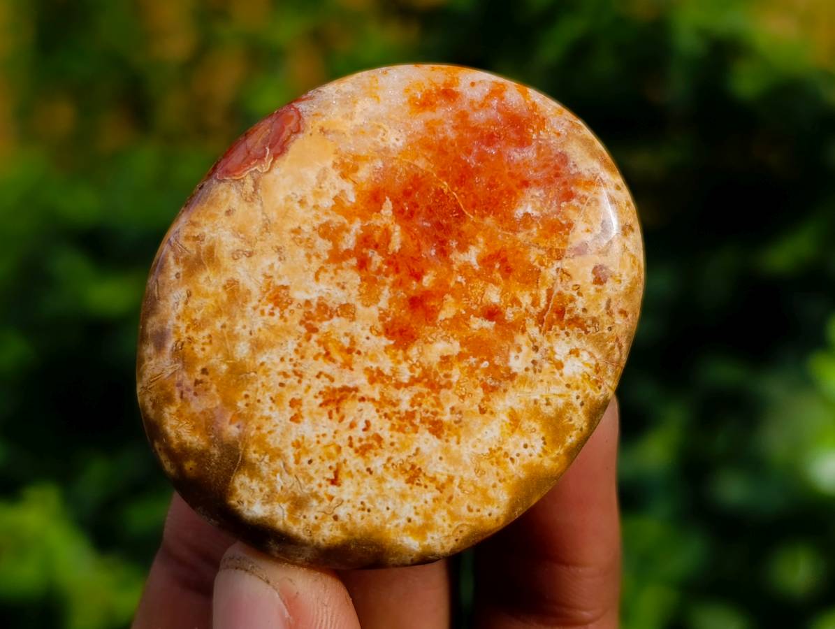 Polished Carnelian Agate Palm Stones x 28 From Madagascar - Toprock Gemstones and Minerals 