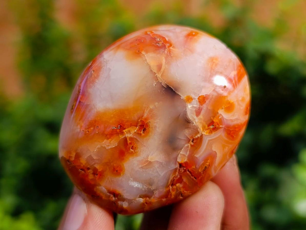 Polished Carnelian Agate Palm Stones x 28 From Madagascar - Toprock Gemstones and Minerals 