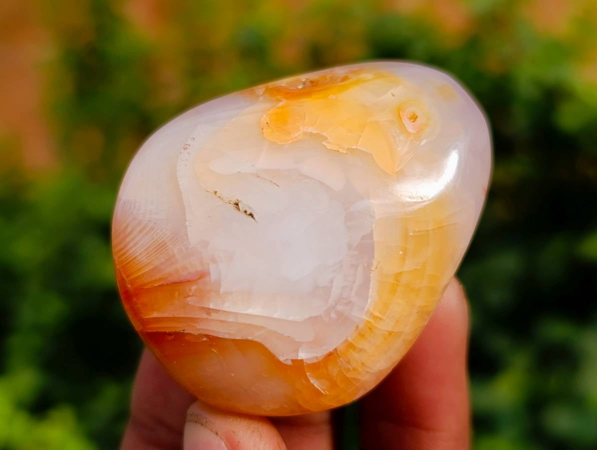 Polished Carnelian Agate Palm Stones x 28 From Madagascar - Toprock Gemstones and Minerals 