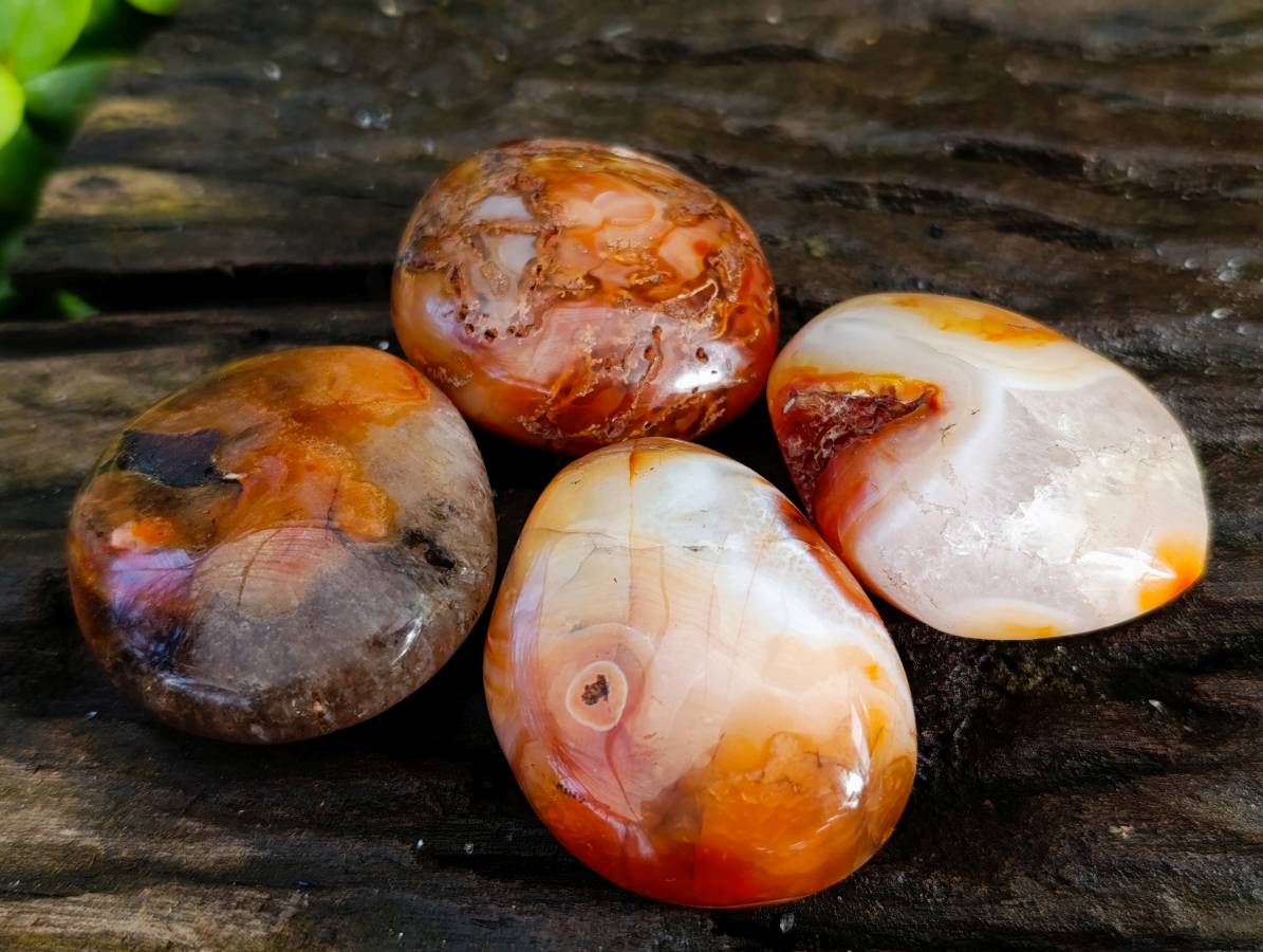 Polished Carnelian Agate Palm Stones x 28 From Madagascar - Toprock Gemstones and Minerals 