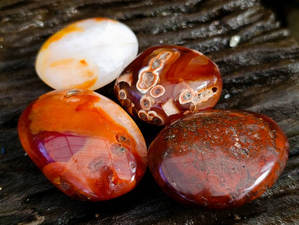 Polished Carnelian Agate Palm Stones x 28 From Madagascar