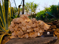 Natural Phantom Smokey Quartz Cluster x 1 From Luena, Congo - Toprock Gemstones and Minerals 
