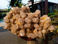 Natural Phantom Smokey Quartz Cluster x 1 From Luena, Congo - Toprock Gemstones and Minerals 