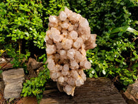 Natural Phantom Smokey Quartz Cluster x 1 From Luena, Congo - Toprock Gemstones and Minerals 