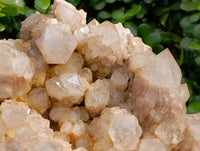 Natural Phantom Smokey Quartz Cluster x 1 From Luena, Congo - Toprock Gemstones and Minerals 