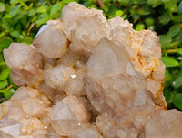 Natural Phantom Smokey Quartz Cluster x 1 From Luena, Congo - Toprock Gemstones and Minerals 