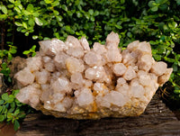 Natural Phantom Smokey Quartz Cluster x 1 From Luena, Congo - Toprock Gemstones and Minerals 