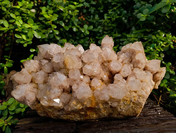 Natural Phantom Smokey Quartz Cluster x 1 From Luena, Congo