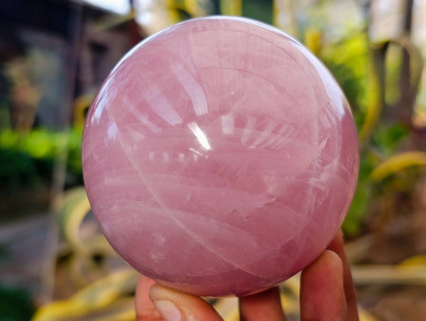Polished Rose Quartz Spheres x 2 Madagascar