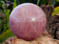 Polished Rose Quartz Spheres x 2 Madagascar