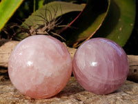 Polished Rose Quartz Spheres x 2 Madagascar