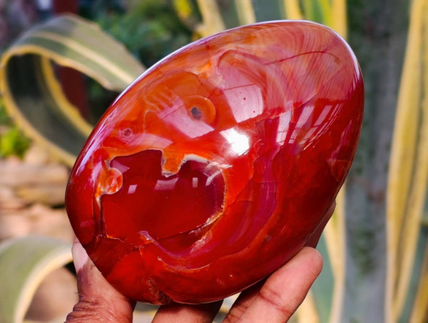 Polished Carnelian Agate Standing Free Forms x 2 From Madagascar