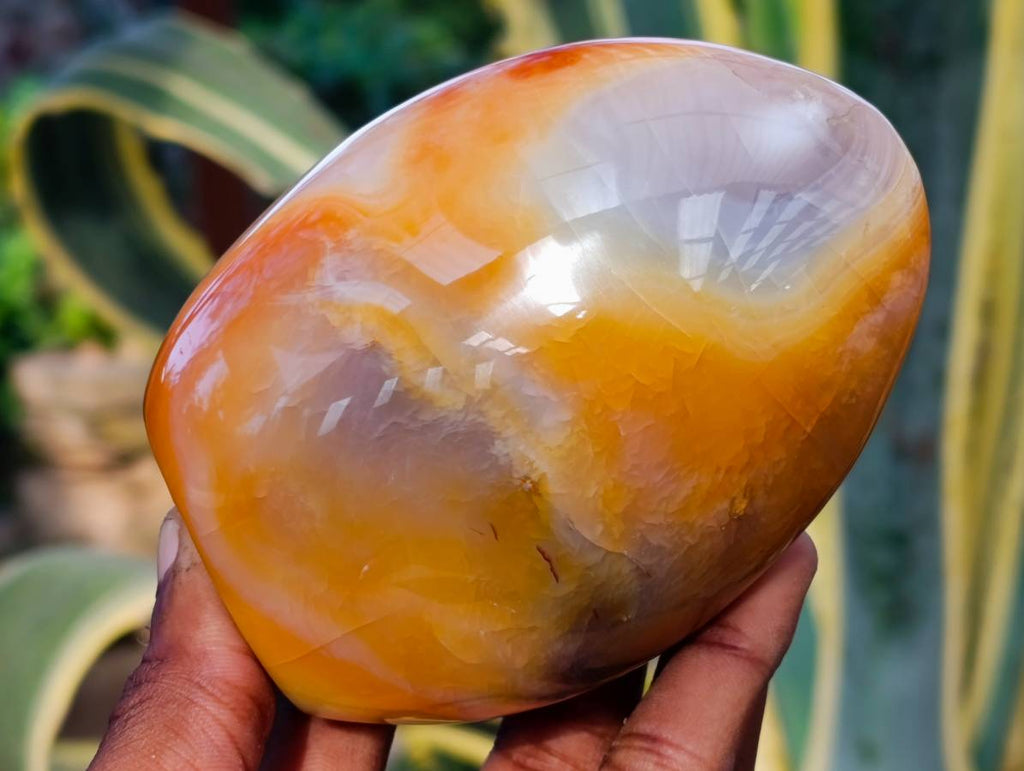 Polished Carnelian Agate Standing Free Forms x 2 From Madagascar - Toprock Gemstones and Minerals 