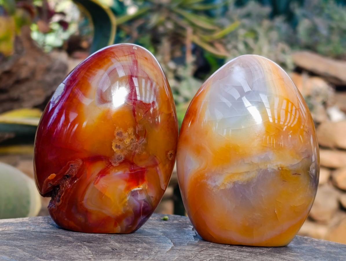 Polished Carnelian Agate Standing Free Forms x 2 From Madagascar - Toprock Gemstones and Minerals 