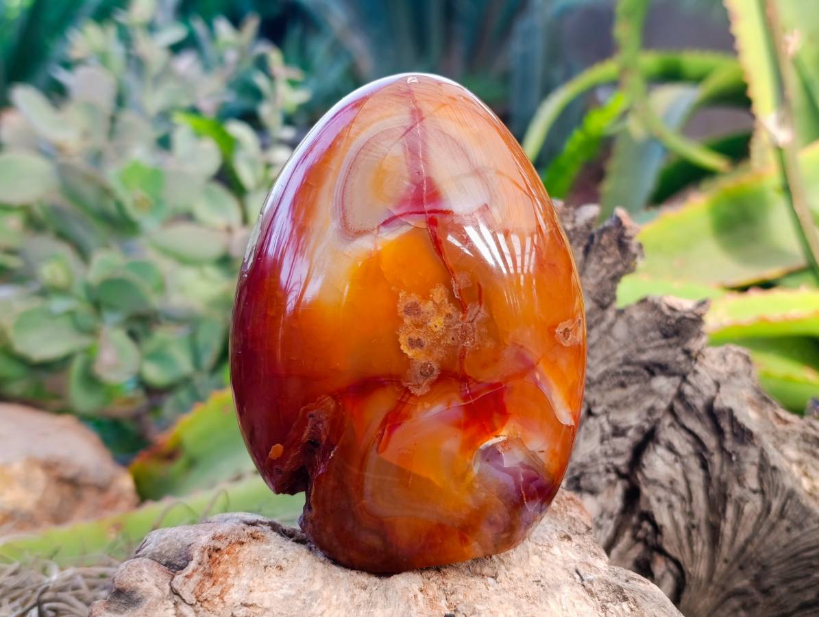 Polished Carnelian Agate Standing Free Forms x 2 From Madagascar - Toprock Gemstones and Minerals 