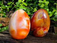 Polished Carnelian Agate Standing Free Forms x 2 From Madagascar - Toprock Gemstones and Minerals 