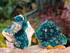 Natural Dioptase on Dolomite Matrix Specimens x 6 From Likasi, Congo - Toprock Gemstones and Minerals 