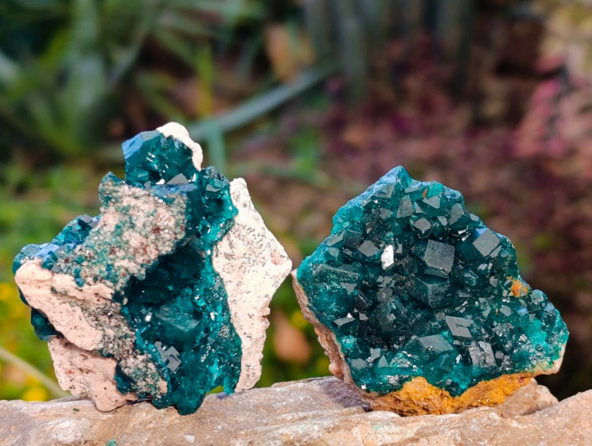 Natural Dioptase on Dolomite Matrix Specimens x 6 From Likasi, Congo - Toprock Gemstones and Minerals 