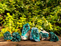 Natural Dioptase on Dolomite Matrix Specimens x 6 From Likasi, Congo