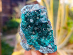 Natural Dioptase on Dolomite Matrix Specimens x 6 From Likasi, Congo - Toprock Gemstones and Minerals 