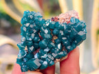 Natural Dioptase on Dolomite Matrix Specimens x 6 From Likasi, Congo - Toprock Gemstones and Minerals 