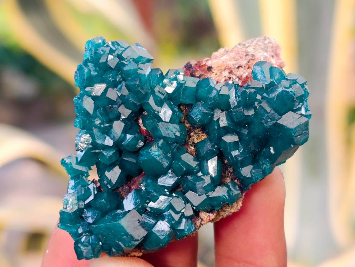 Natural Dioptase on Dolomite Matrix Specimens x 6 From Likasi, Congo - Toprock Gemstones and Minerals 