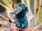 Natural Dioptase on Dolomite Matrix Specimens x 6 From Likasi, Congo - Toprock Gemstones and Minerals 
