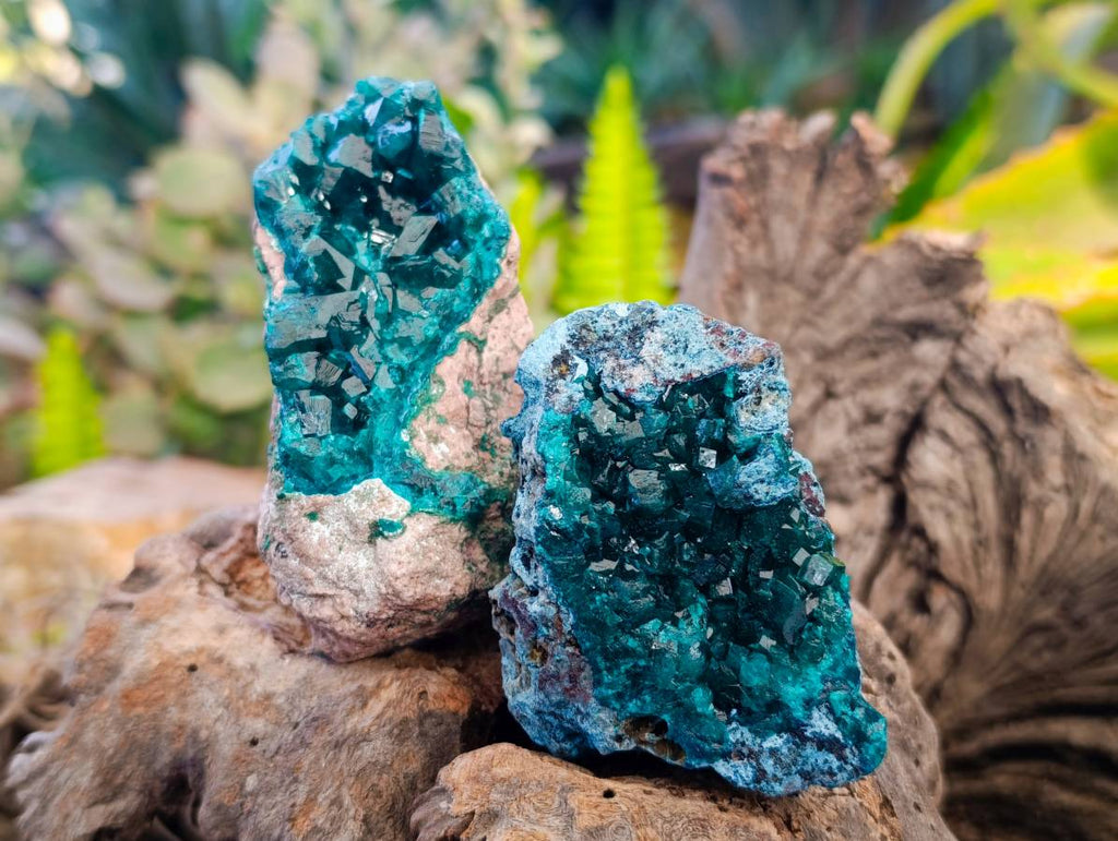Natural Dioptase on Dolomite Matrix Specimens x 6 From Likasi, Congo - Toprock Gemstones and Minerals 