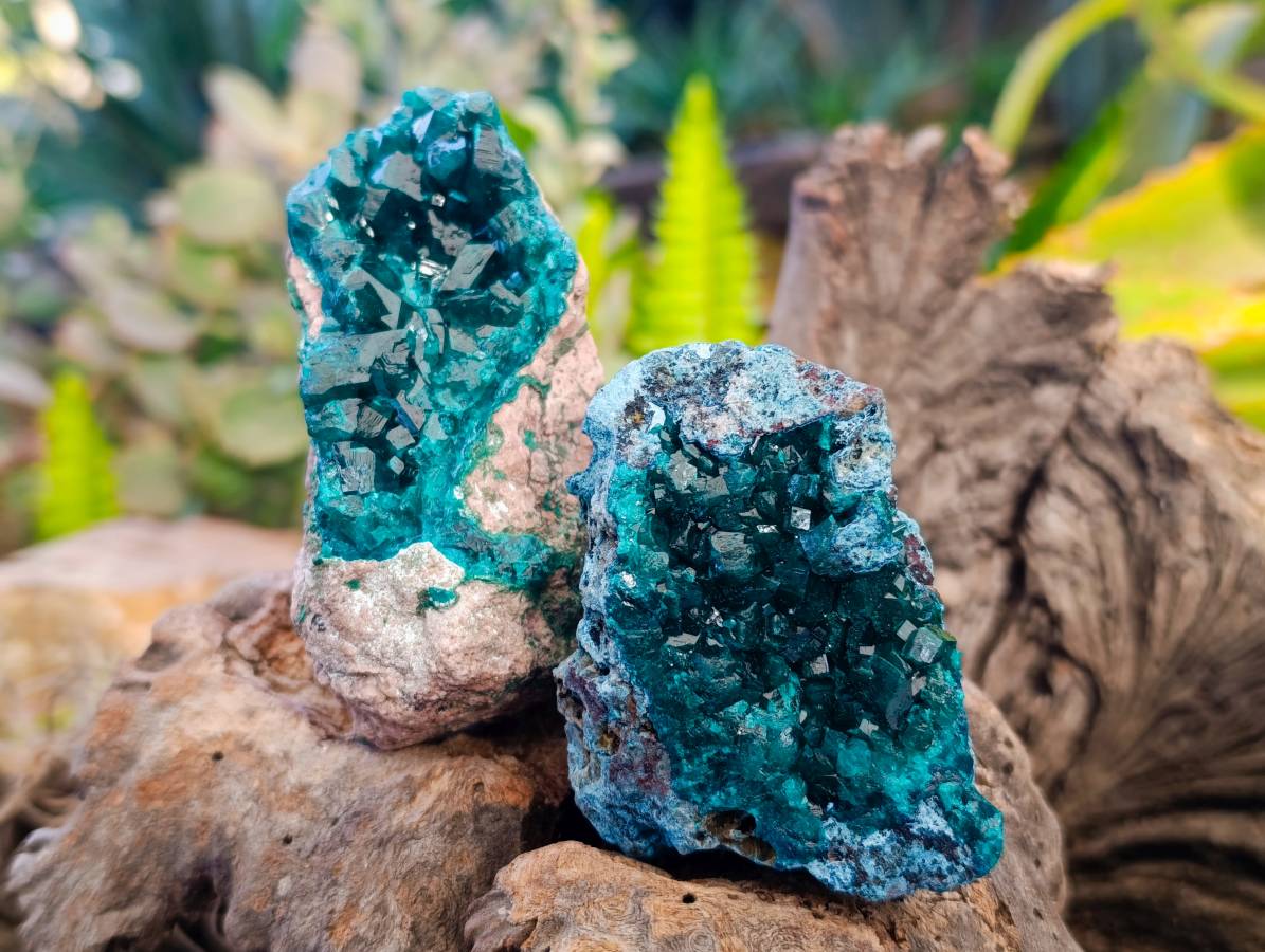 Natural Dioptase on Dolomite Matrix Specimens x 6 From Likasi, Congo - Toprock Gemstones and Minerals 