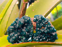 Natural Dioptase on Dolomite Matrix Specimens x 6 From Likasi, Congo
