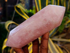 Polished Double Terminated Rose Quartz Points x 2 Madagascar - Toprock Gemstones and Minerals 